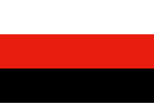 Flag of Kingdom of Naples