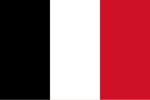 Flag of Roman Republic (1798–1799)