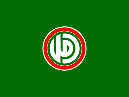 Flag of Amal Movement