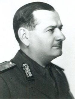 Ilie Șteflea